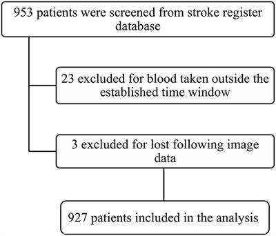 Day 1 neutrophil-to-lymphocyte ratio (NLR) predicts stroke outcome after intravenous thrombolysis and mechanical thrombectomy